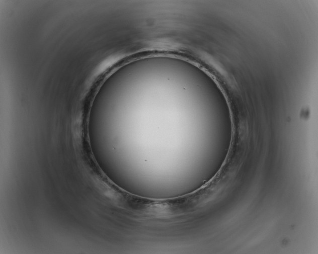 X0000102291315200807251413