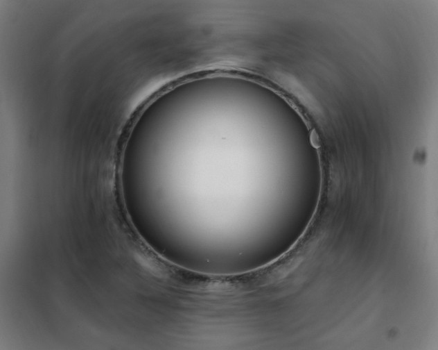 X0000102291316200807251413