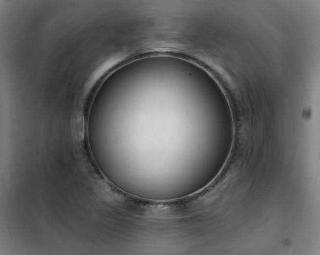 X0000102291317200807251413