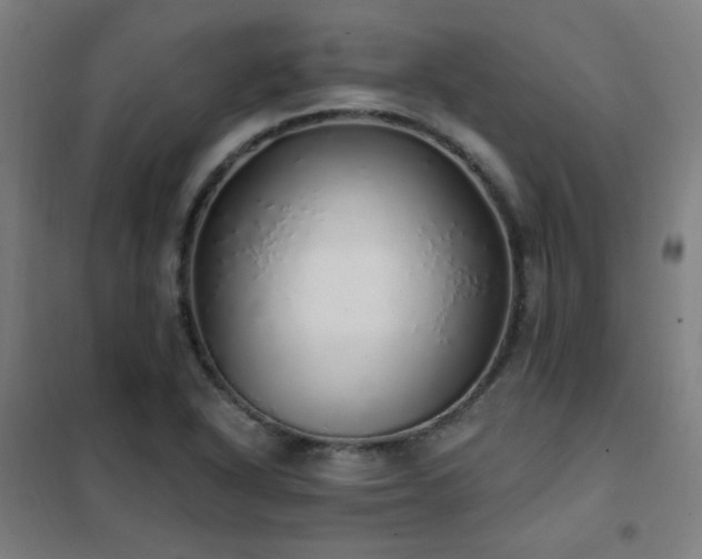 X0000102291318200807251413