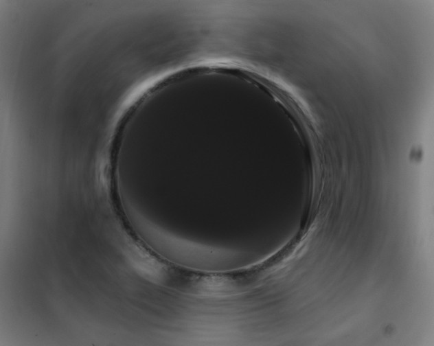 X0000102291319200807251413