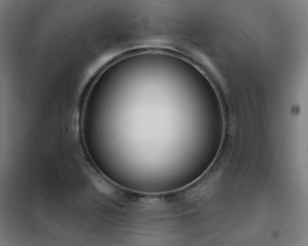 X0000102291320200807251413