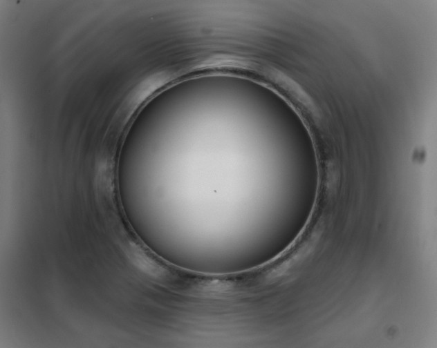 X0000102291321200807251413