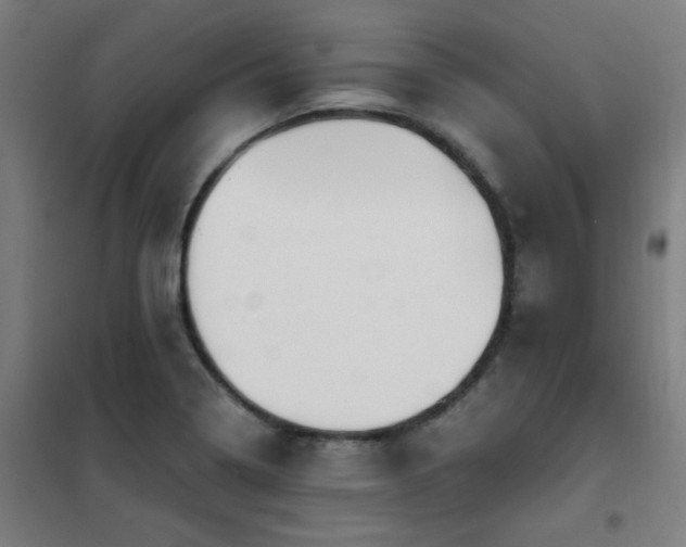 X0000102291322200807251413