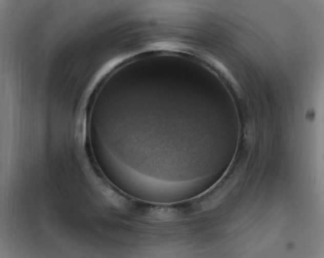 X0000102291323200807251413