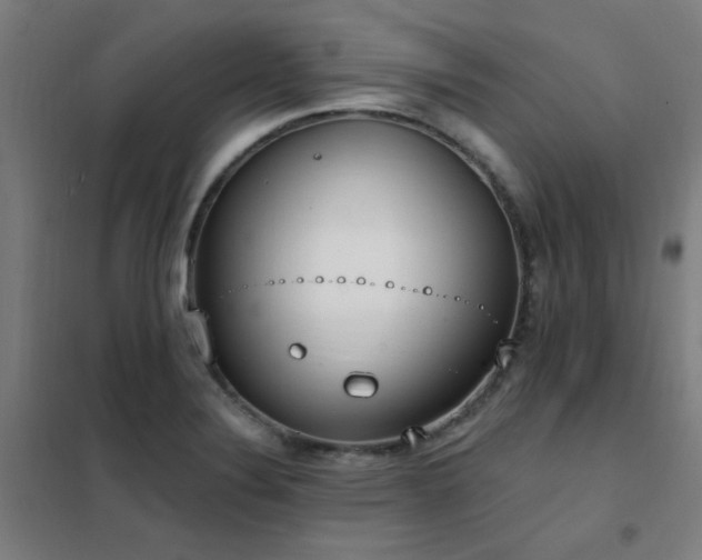 X0000102291324200807251413