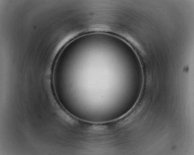 X0000102291325200807251413