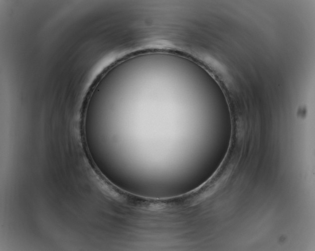 X0000102291326200807251413