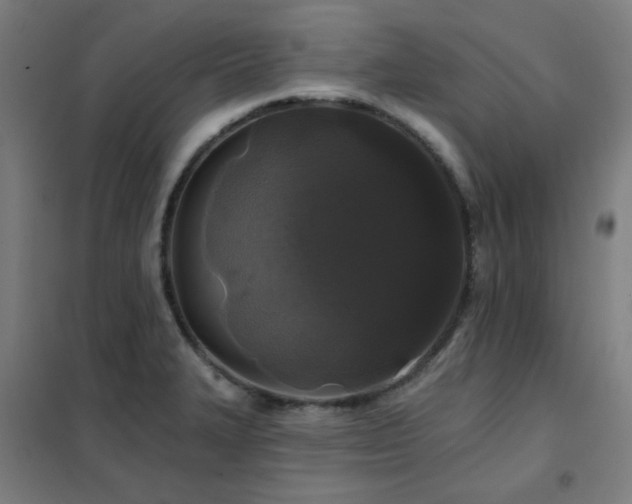 X0000102291327200807251413