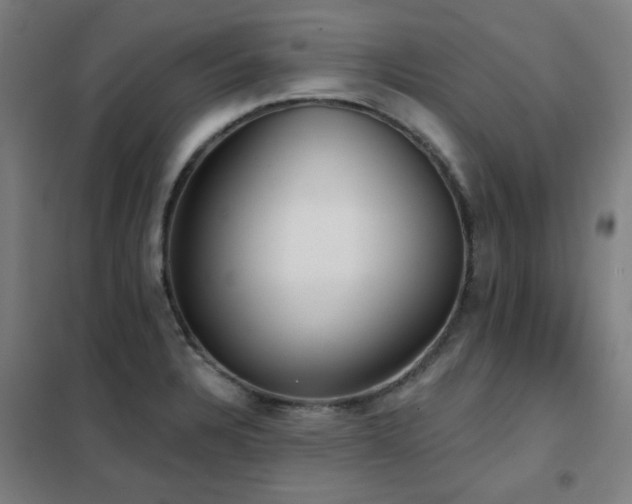 X0000102291328200807251413