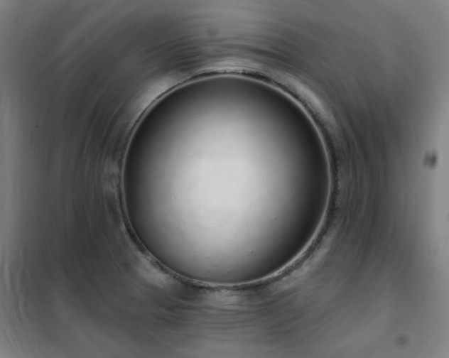 X0000102291329200807251413