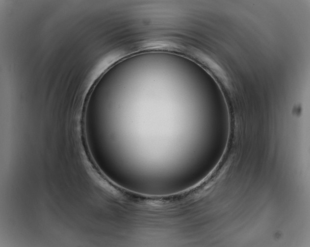 X0000102291330200807251413