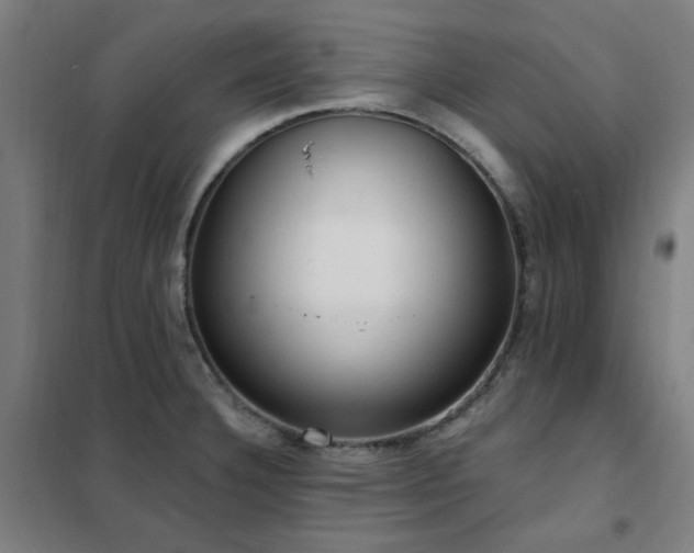 X0000102291332200807251413