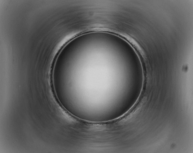 X0000102291333200807251413