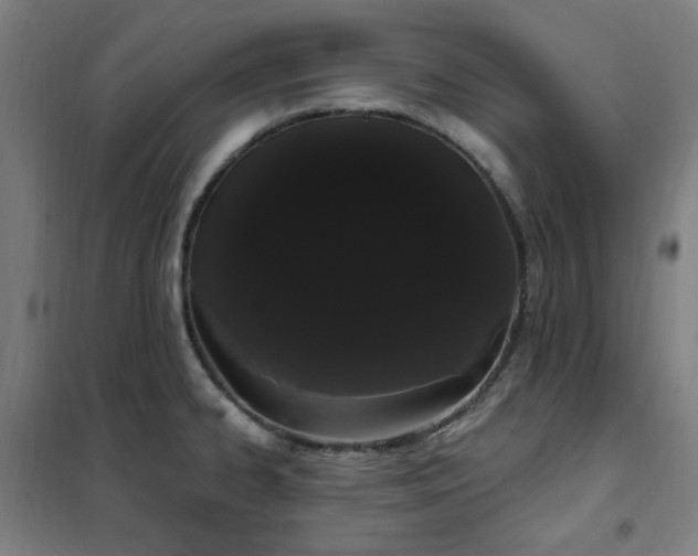 X0000102291334200807251413