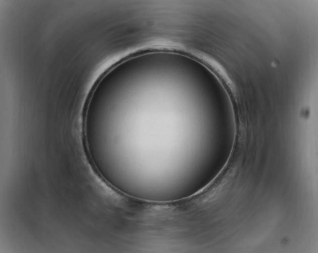 X0000102291335200807251413