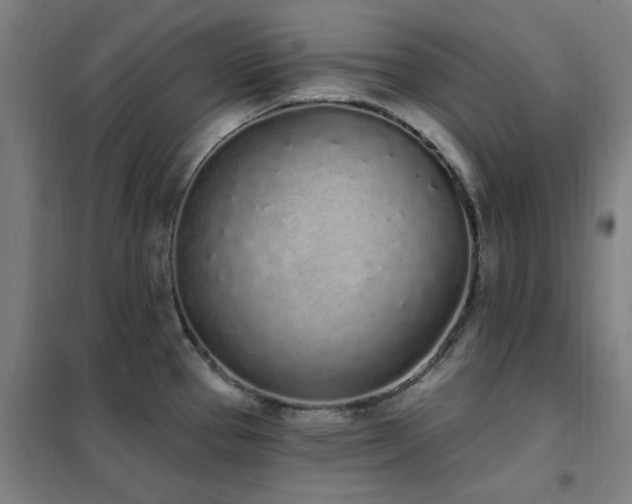 X0000102291337200807251413