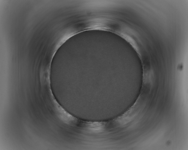 X0000102291338200807251413