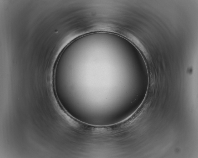 X0000102291339200807251413