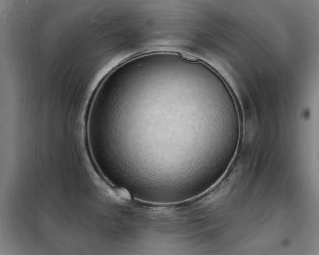 X0000102291341200807251413