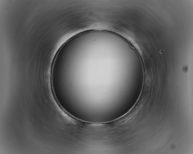 X0000102291343200807251413