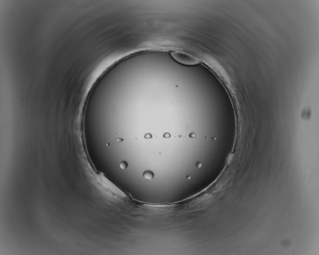 X0000102291344200807251413