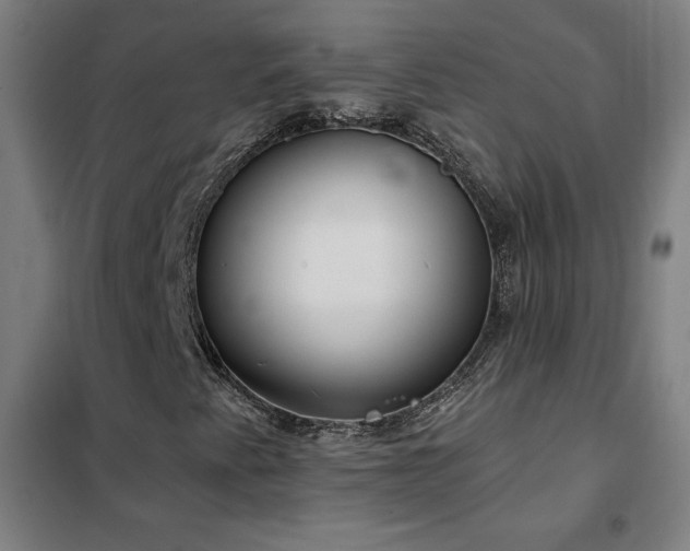 X0000102291345200807251412