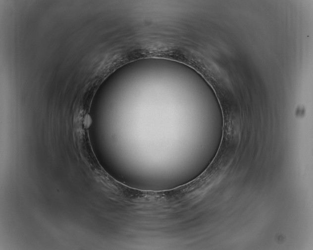 X0000102291346200807251412