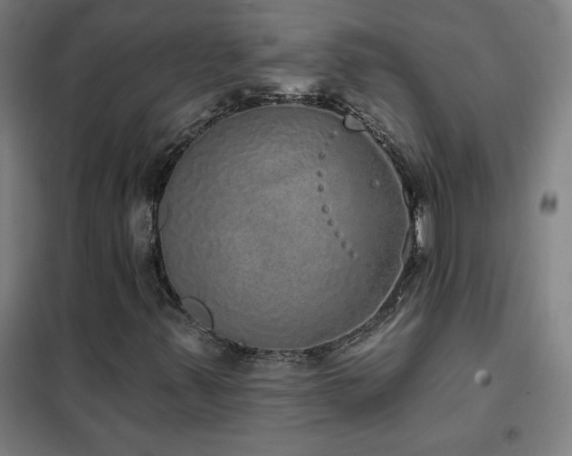 X0000102291347200807251412