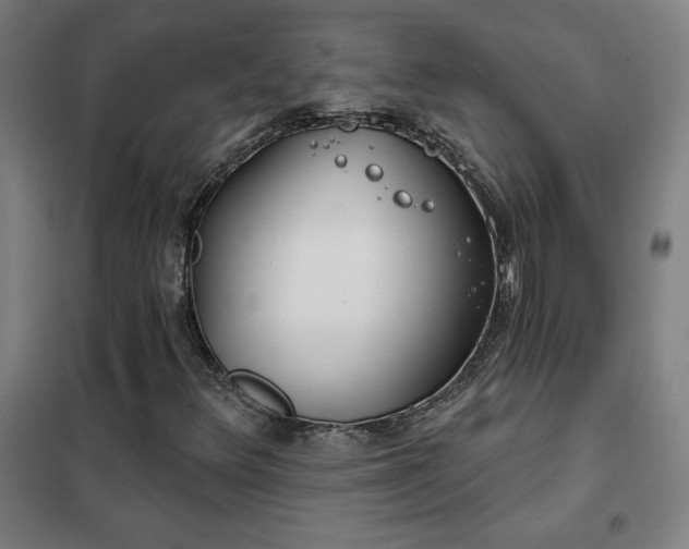 X0000102291348200807251412