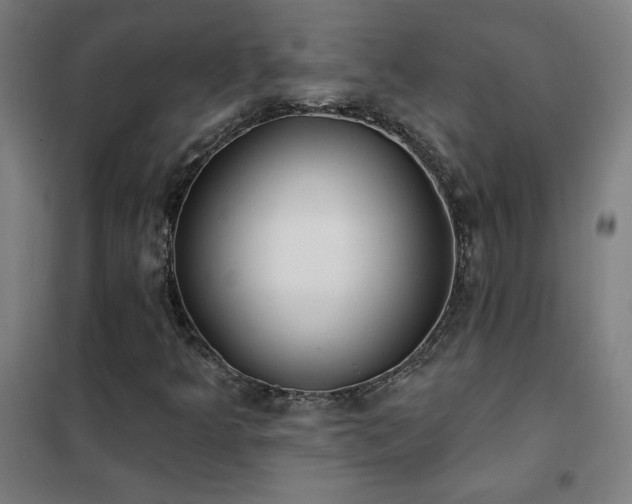 X0000102291349200807251412