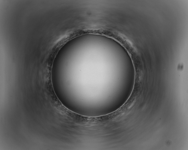 X0000102291350200807251412
