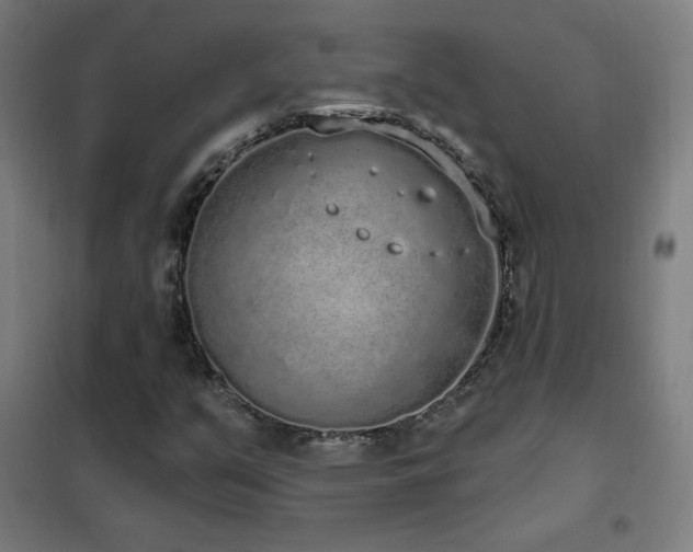 X0000102291351200807251412