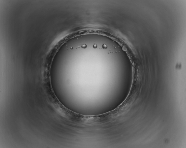 X0000102291352200807251412