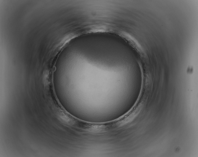 X0000102291353200807251412