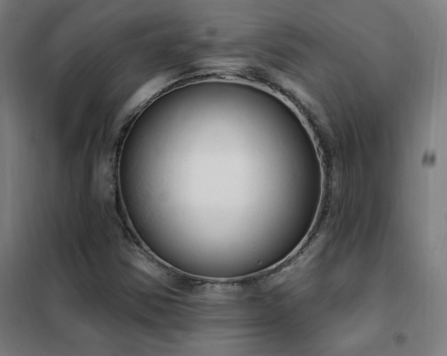X0000102291354200807251412