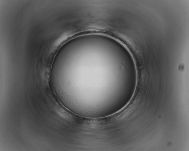 X0000102291355200807251412
