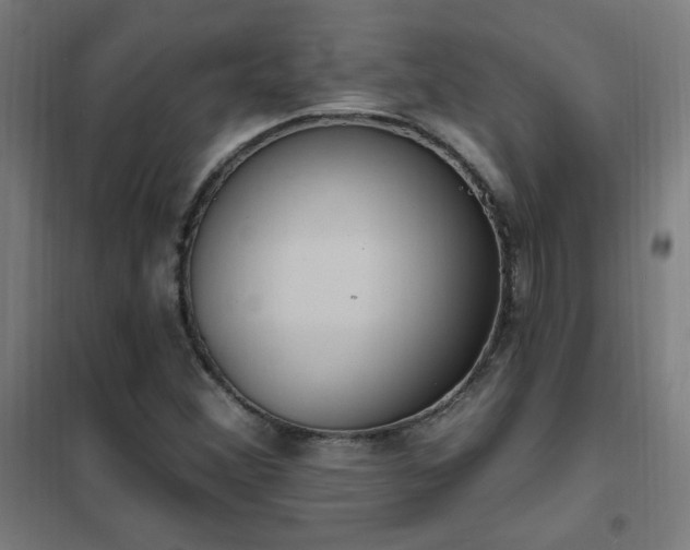 X0000102291356200807251412