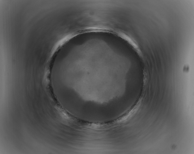 X0000102291357200807251412
