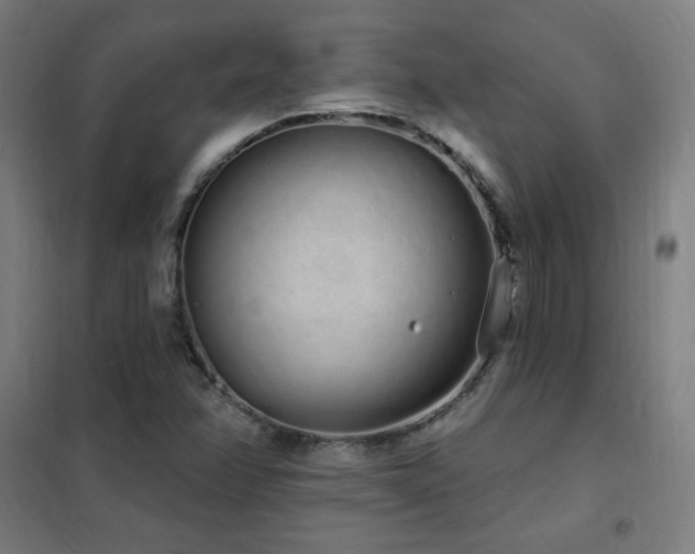 X0000102291358200807251412