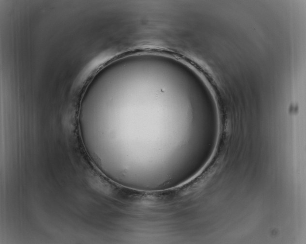 X0000102291359200807251412
