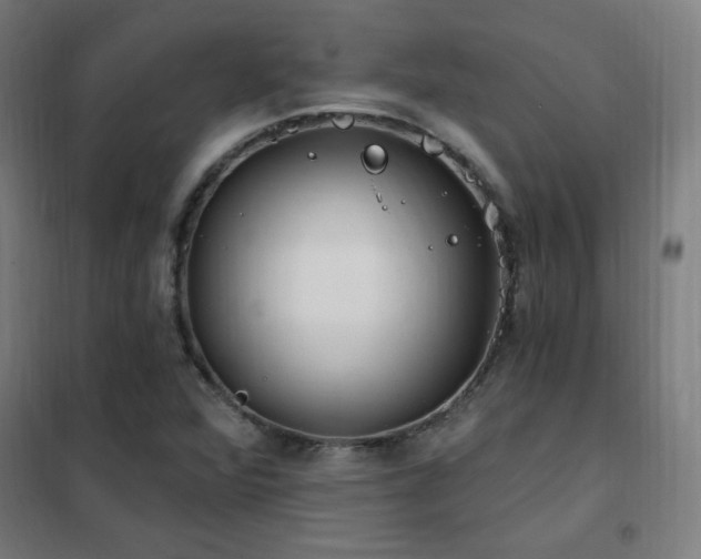 X0000102291360200807251412