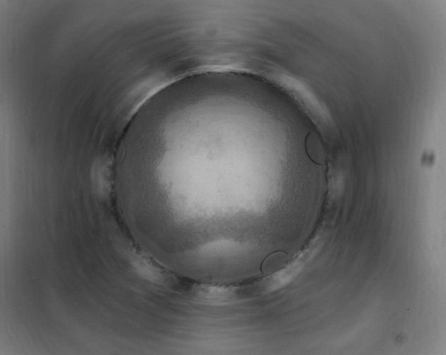 X0000102291361200807251412