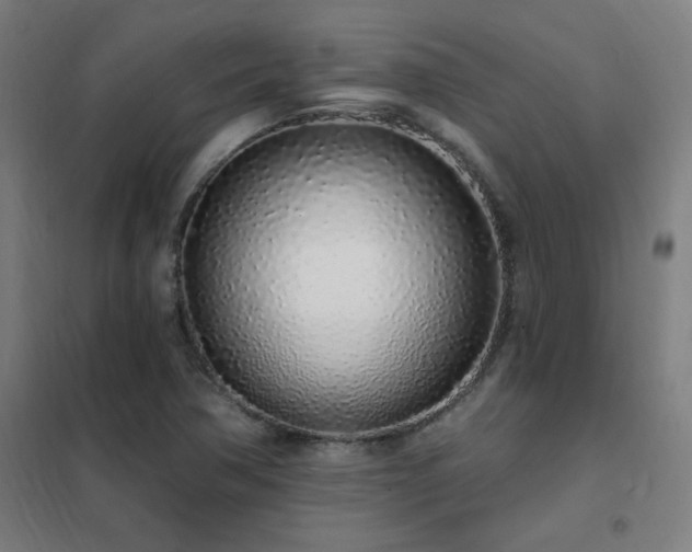 X0000102291362200807251412