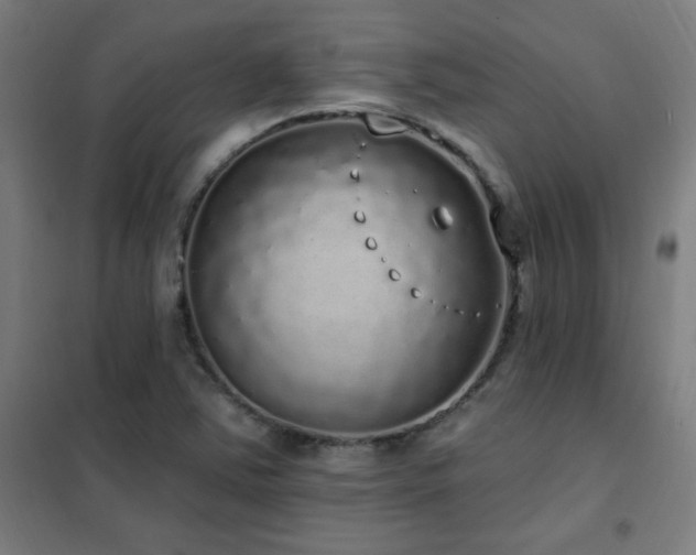 X0000102291363200807251412