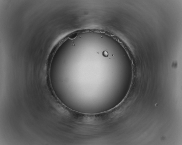 X0000102291364200807251412