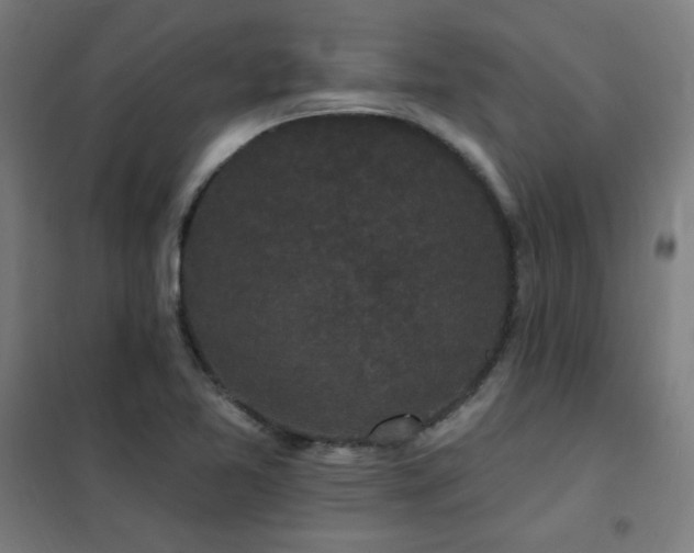 X0000102291365200807251412