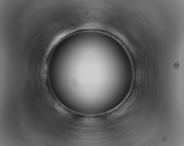 X0000102291366200807251412