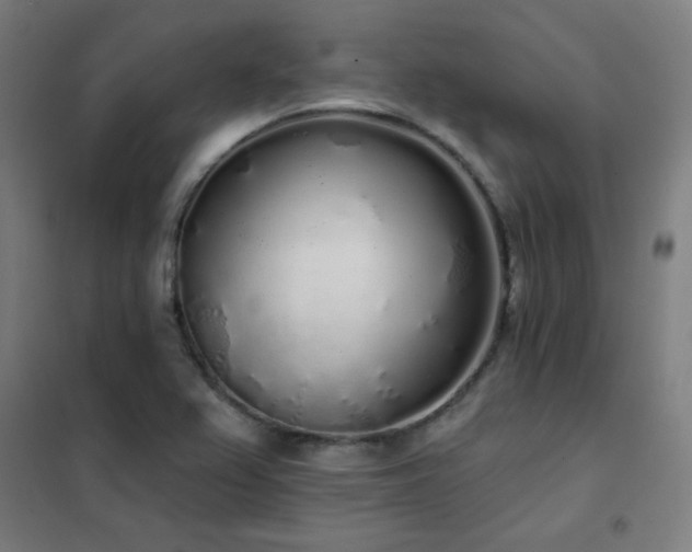 X0000102291367200807251412