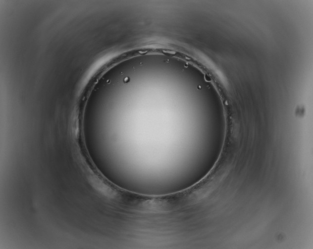 X0000102291368200807251412